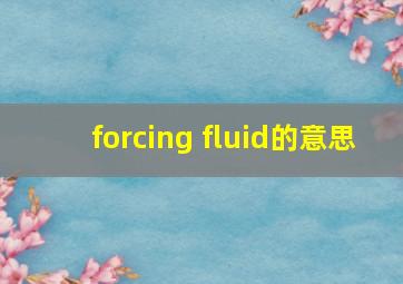 forcing fluid的意思